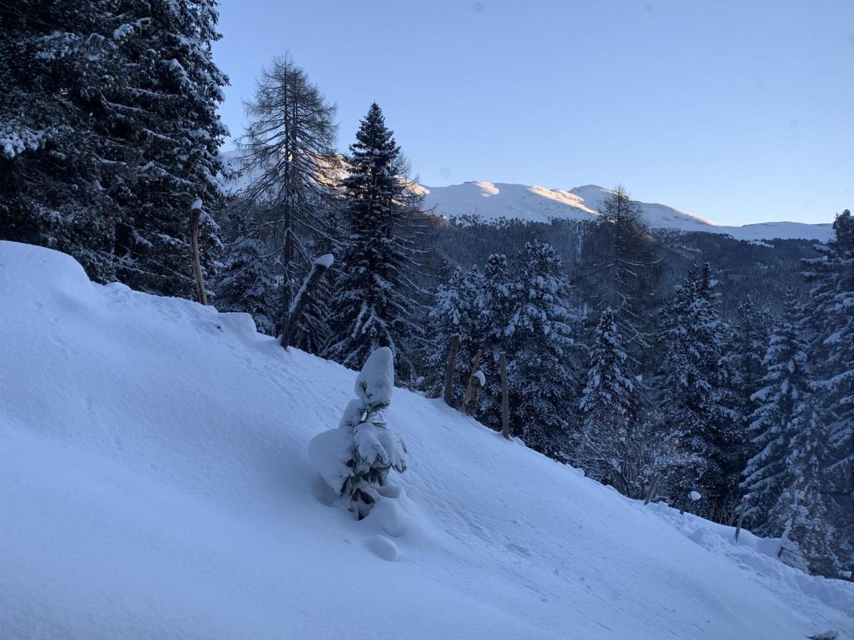 Chalet Claassen Turracher Hohe Dış mekan fotoğraf