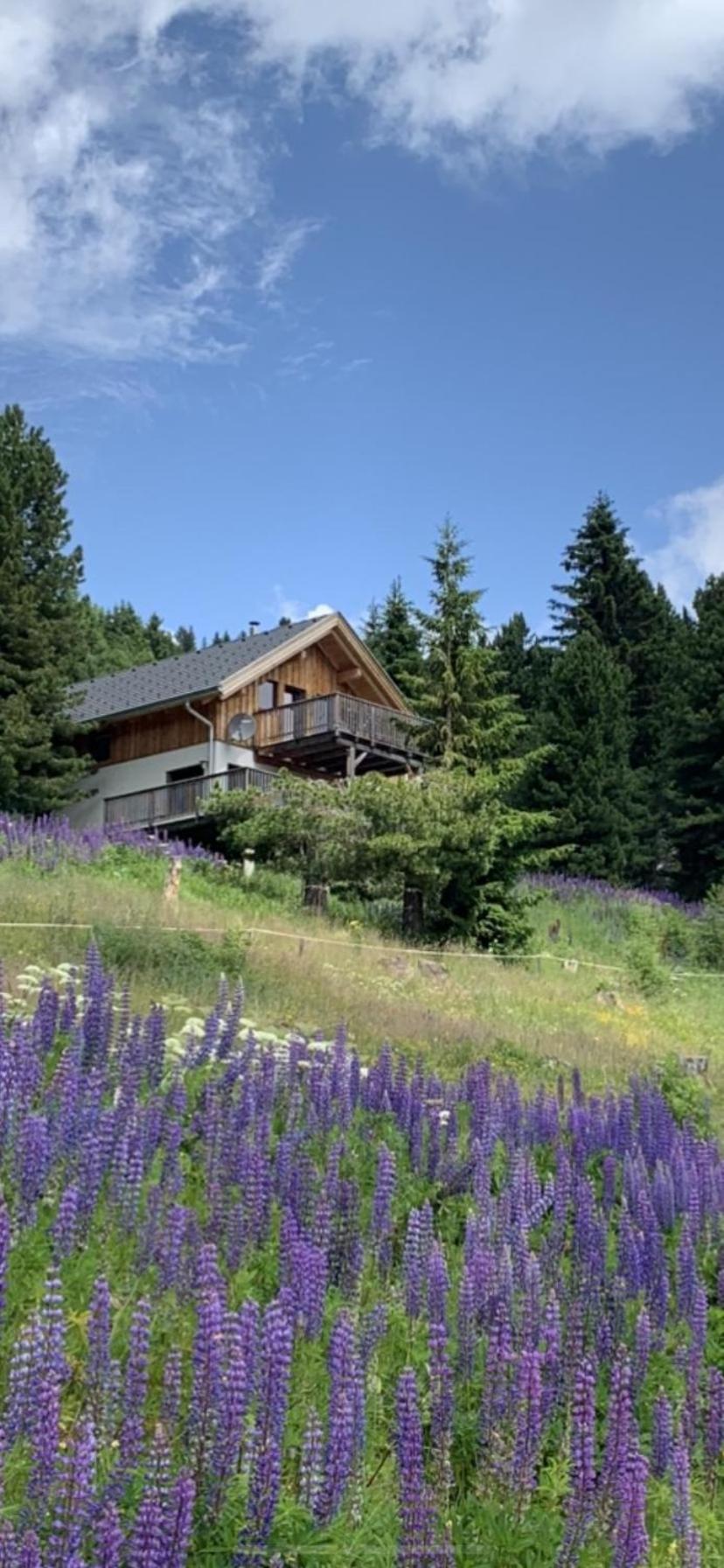Chalet Claassen Turracher Hohe Dış mekan fotoğraf
